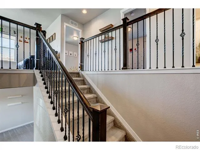 2137 Honeybee Drive Windsor, CO 80550