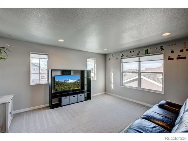 2137 Honeybee Drive Windsor, CO 80550
