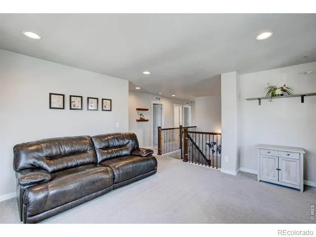 2137 Honeybee Drive Windsor, CO 80550