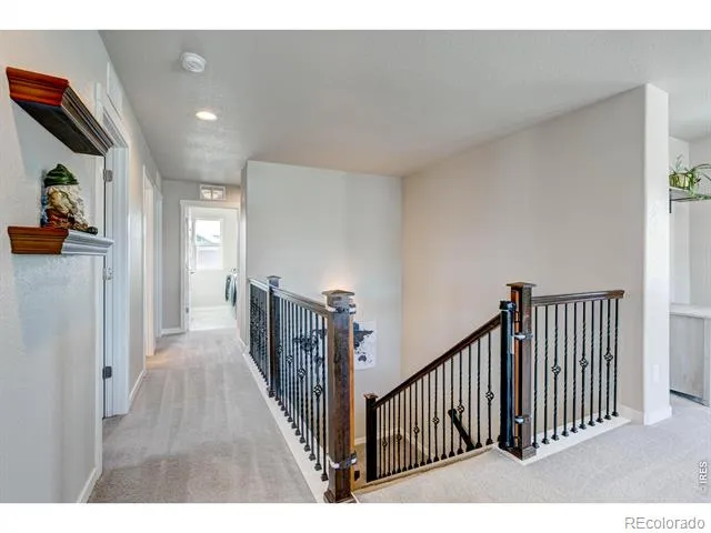 2137 Honeybee Drive Windsor, CO 80550