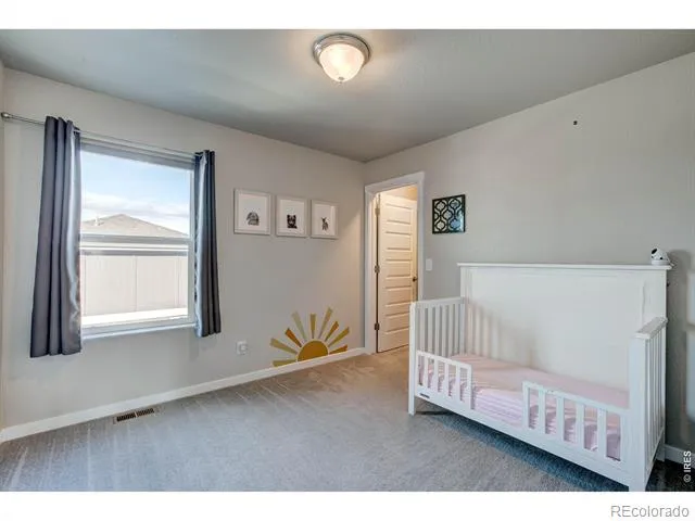 2137 Honeybee Drive Windsor, CO 80550