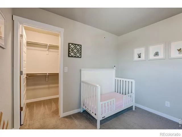 2137 Honeybee Drive Windsor, CO 80550