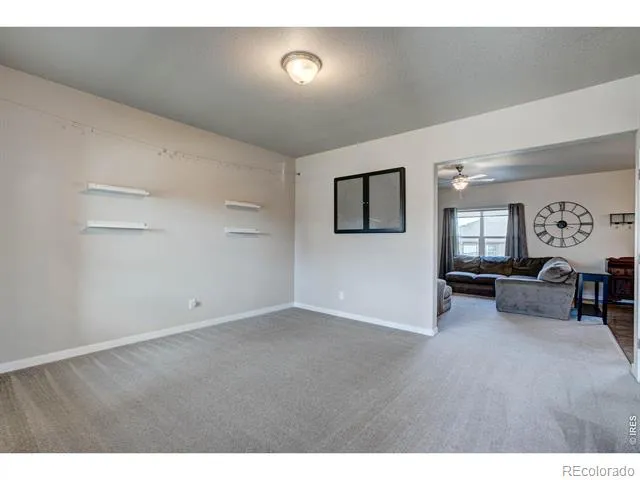 2137 Honeybee Drive Windsor, CO 80550