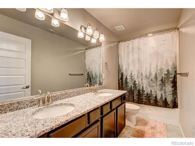 2137 Honeybee Drive Windsor, CO 80550