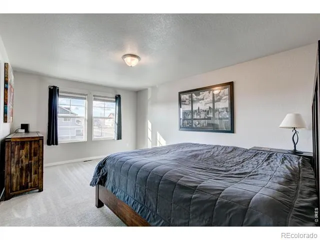2137 Honeybee Drive Windsor, CO 80550