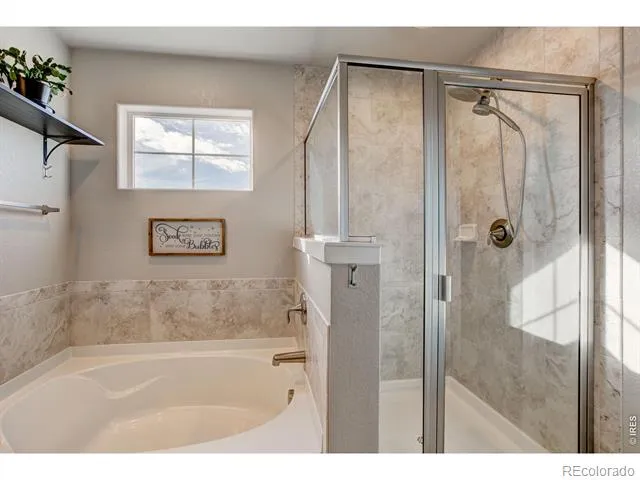 2137 Honeybee Drive Windsor, CO 80550