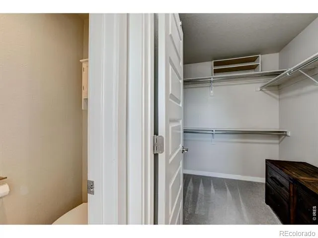 2137 Honeybee Drive Windsor, CO 80550