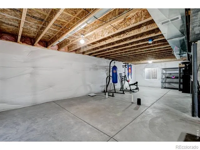 2137 Honeybee Drive Windsor, CO 80550