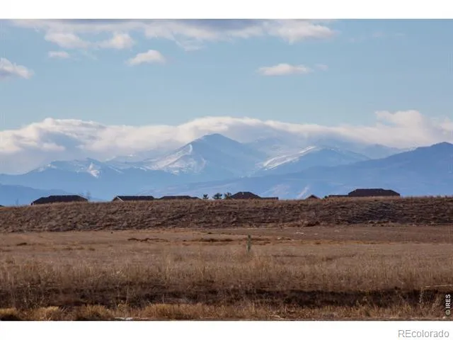 2137 Honeybee Drive Windsor, CO 80550