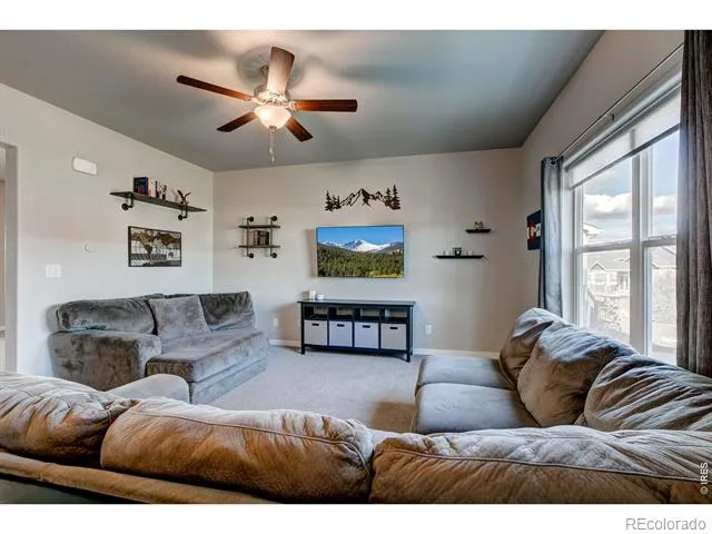 2137 Honeybee Drive Windsor, CO 80550