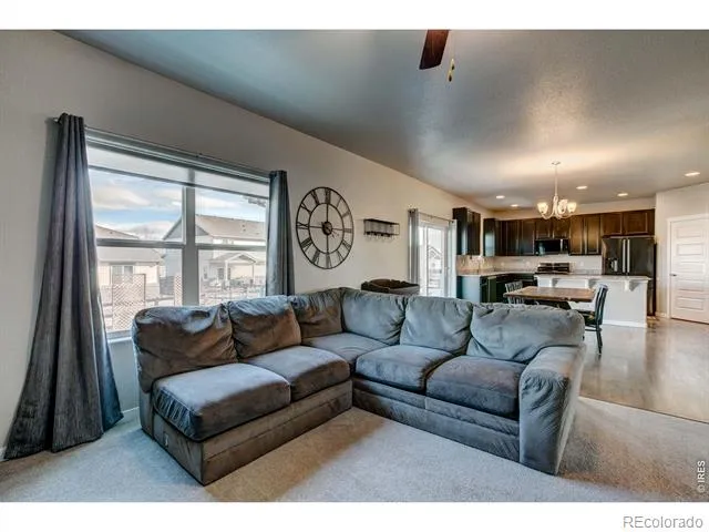 2137 Honeybee Drive Windsor, CO 80550