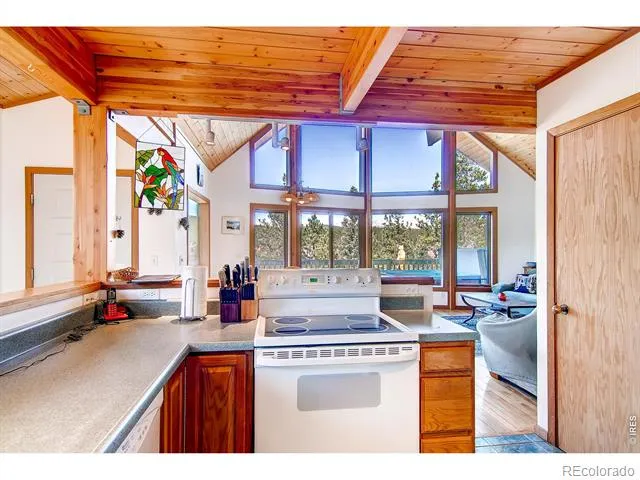 24 Farrell Drive Black Hawk, CO 80422