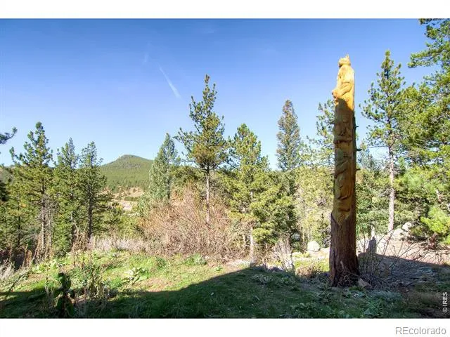 24 Farrell Drive Black Hawk, CO 80422