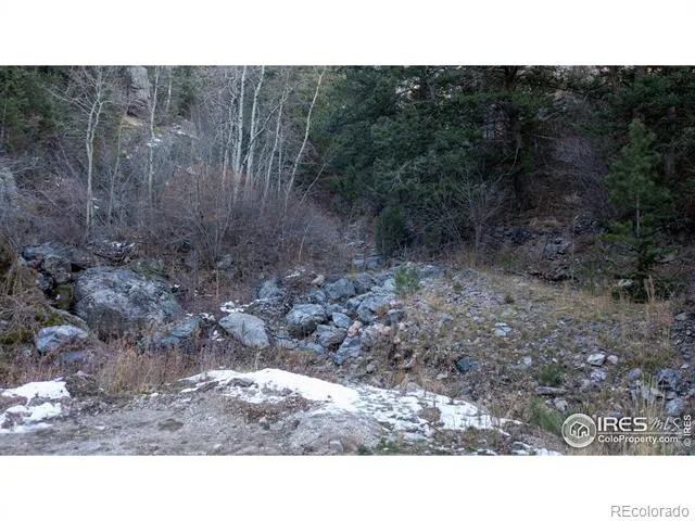 0 Lost Dove Trail Golden, CO 80403