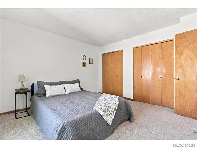 228 E 42nd Street Loveland, CO 80538