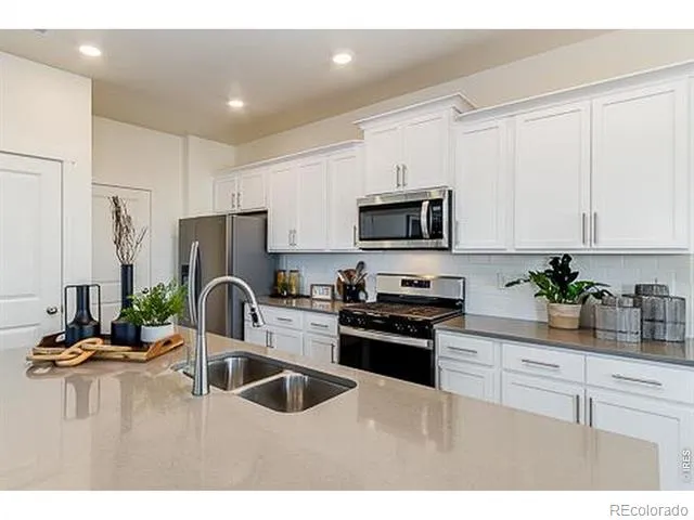 866 Trumpet Lane Windsor, CO 80550