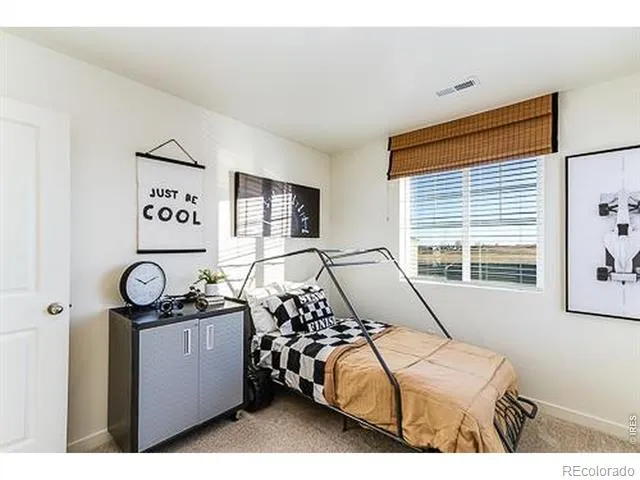 866 Trumpet Lane Windsor, CO 80550