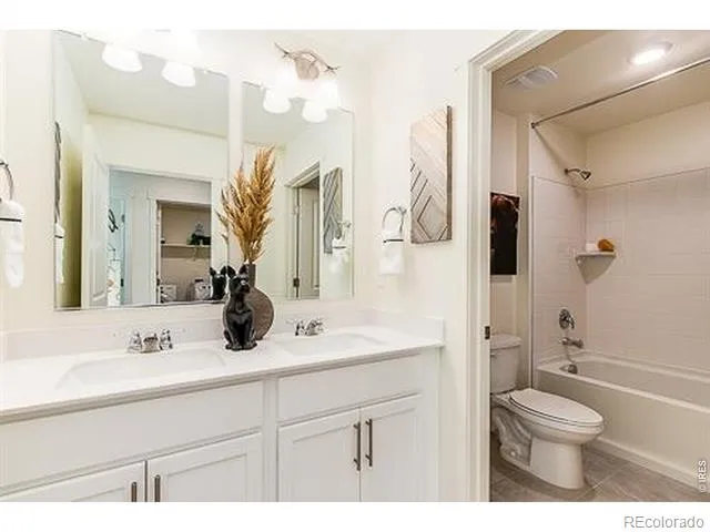 866 Trumpet Lane Windsor, CO 80550