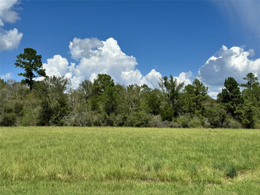 4 Westlake Road Trinity, TX 75862