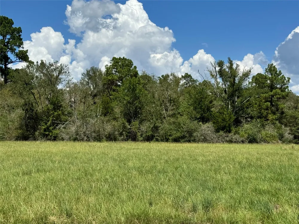 4 Westlake Road Trinity, TX 75862