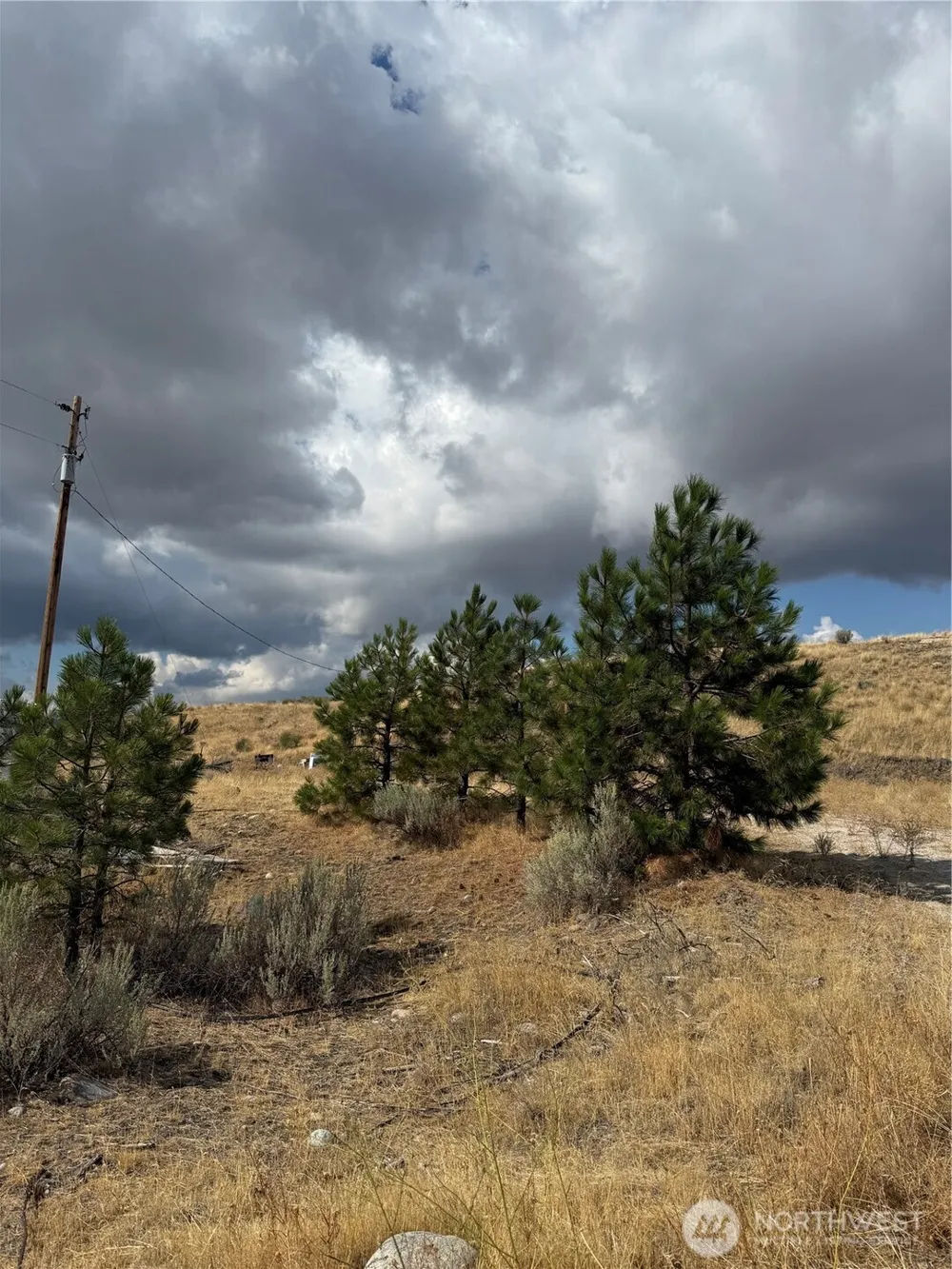 0 17 & 18 Grey Goose Road Omak, WA 98841