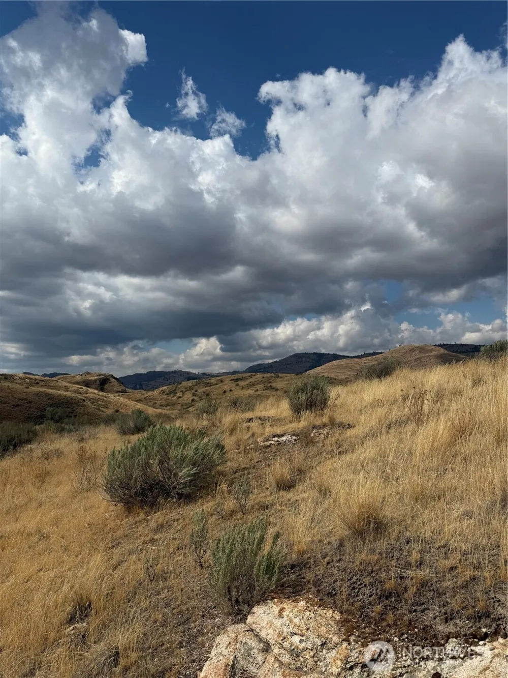 0 17 & 18 Grey Goose Road Omak, WA 98841