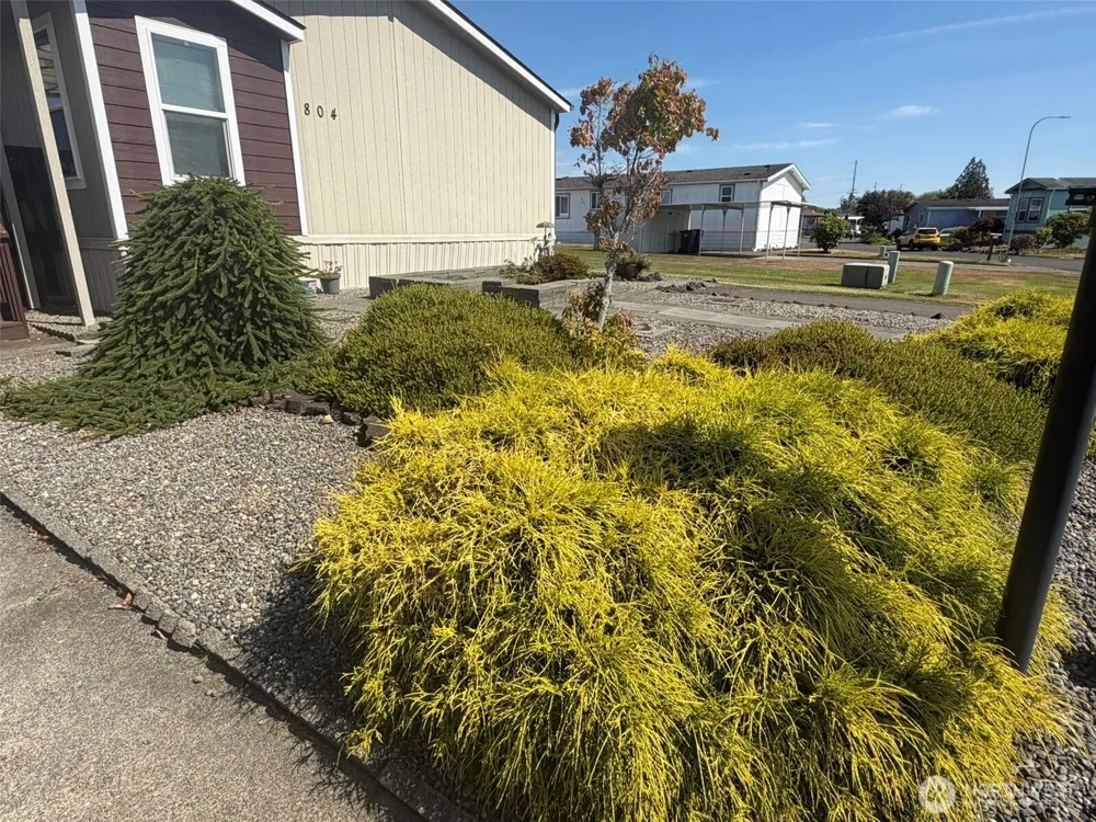 804 Rambling Road Aberdeen, WA 98520