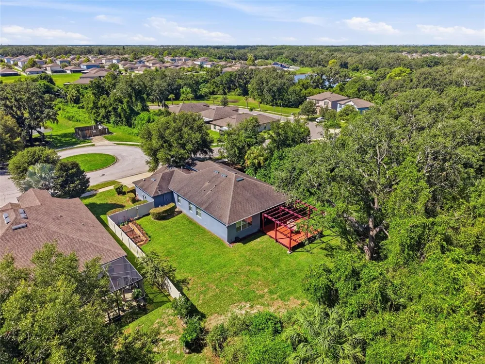 10106 CARAWAY SPICE AVENUE Riverview, FL 33578