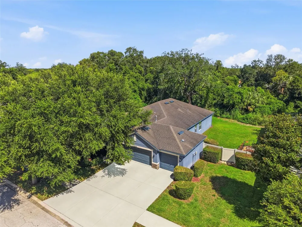 10106 CARAWAY SPICE AVENUE Riverview, FL 33578
