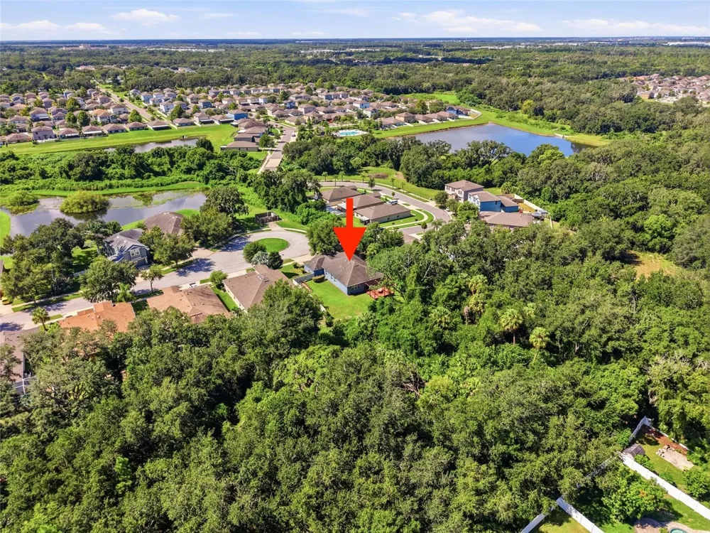 10106 CARAWAY SPICE AVENUE Riverview, FL 33578
