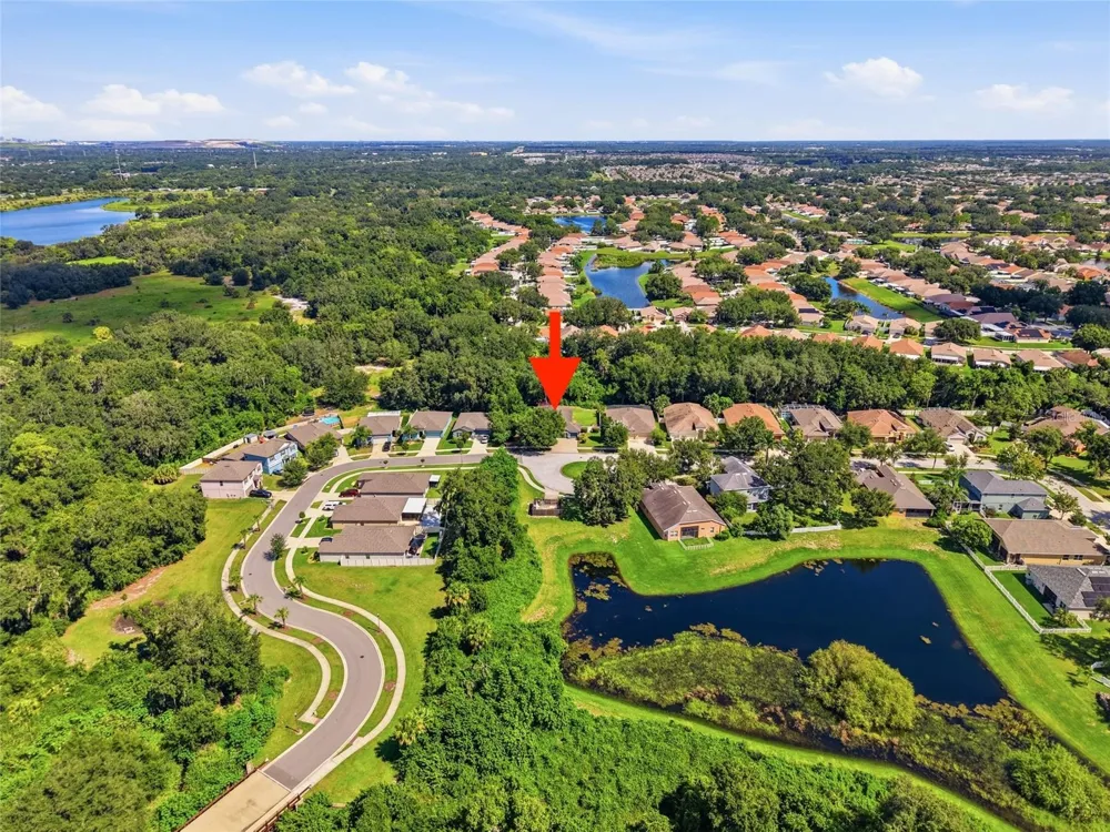 10106 CARAWAY SPICE AVENUE Riverview, FL 33578