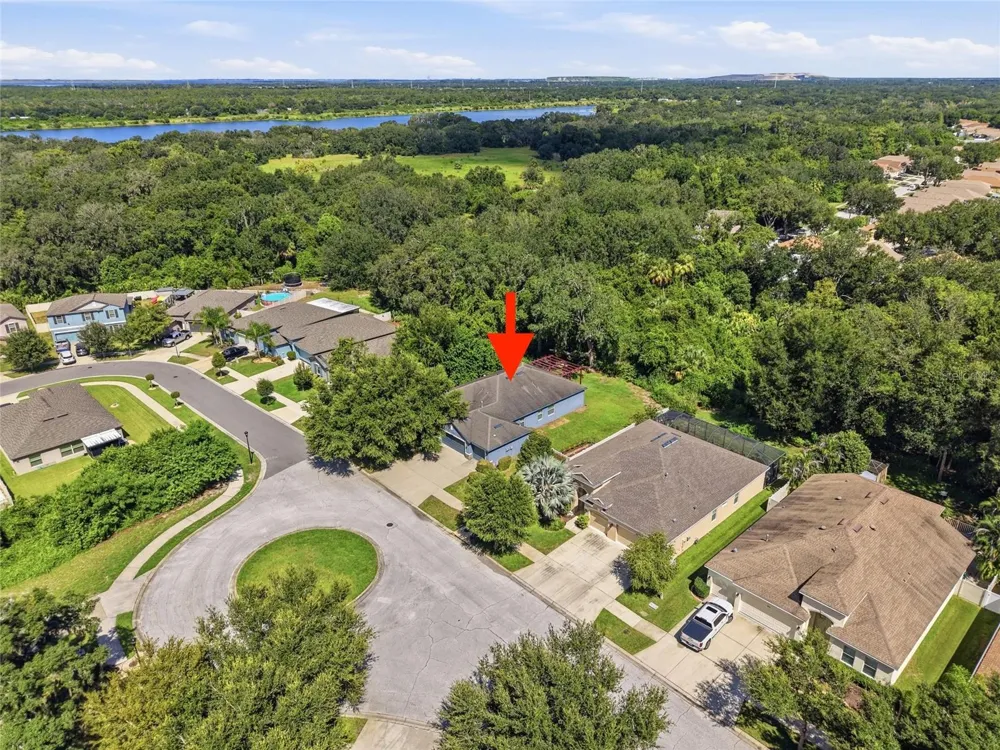 10106 CARAWAY SPICE AVENUE Riverview, FL 33578