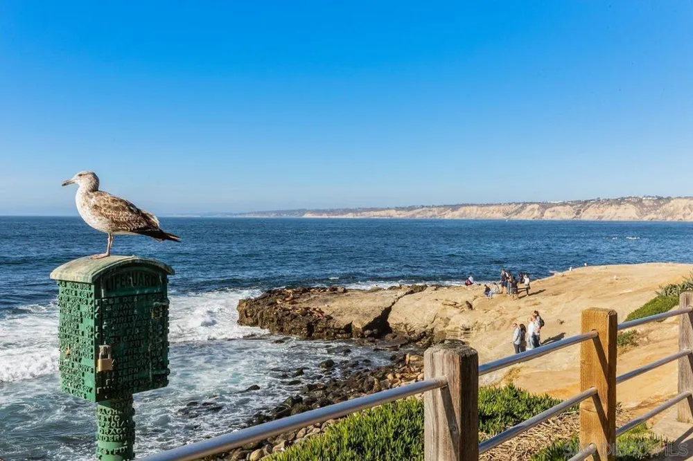 7546 Caminito Avola La Jolla, CA 92037