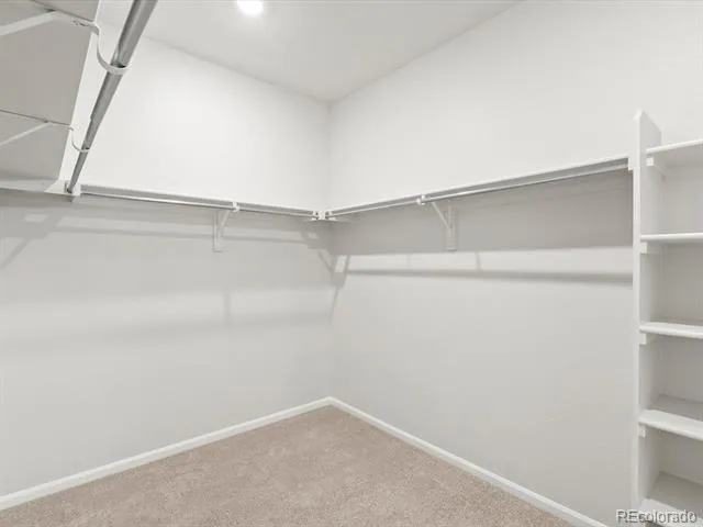 1242 Spring Creek Drive Windsor, CO 80550