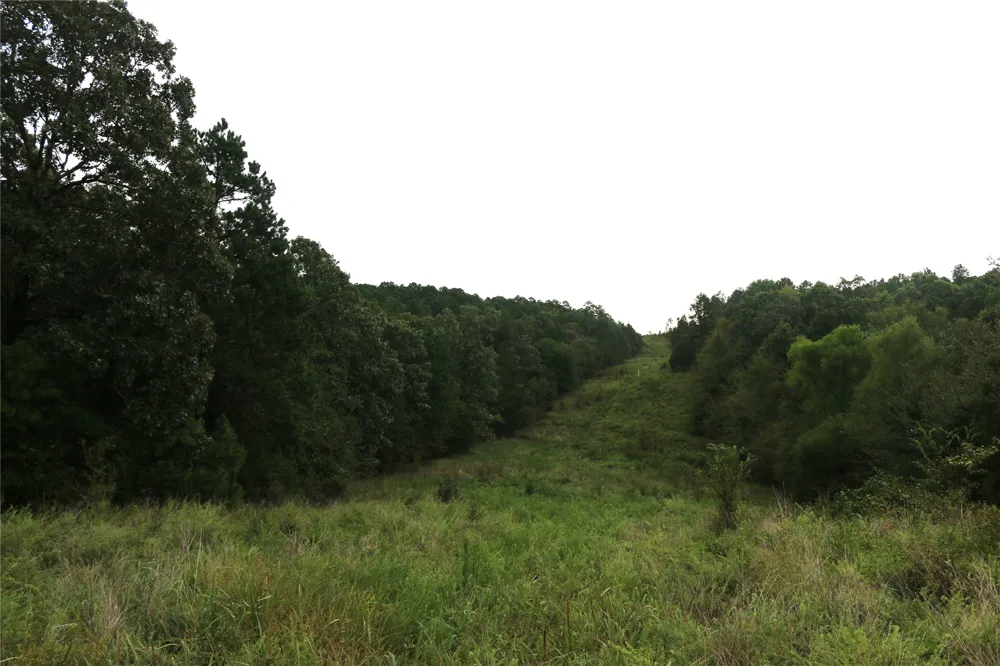 259 Highway Smithville, OK 74957