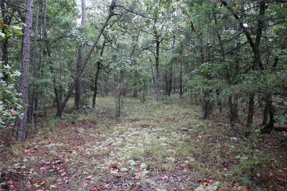 259 Highway Smithville, OK 74957