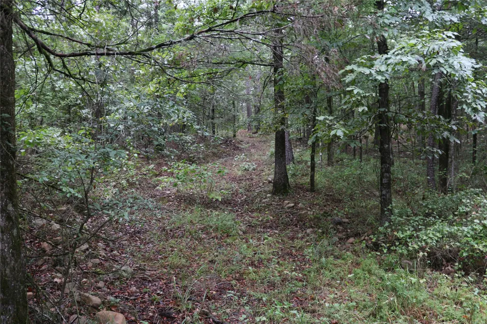 259 Highway Smithville, OK 74957