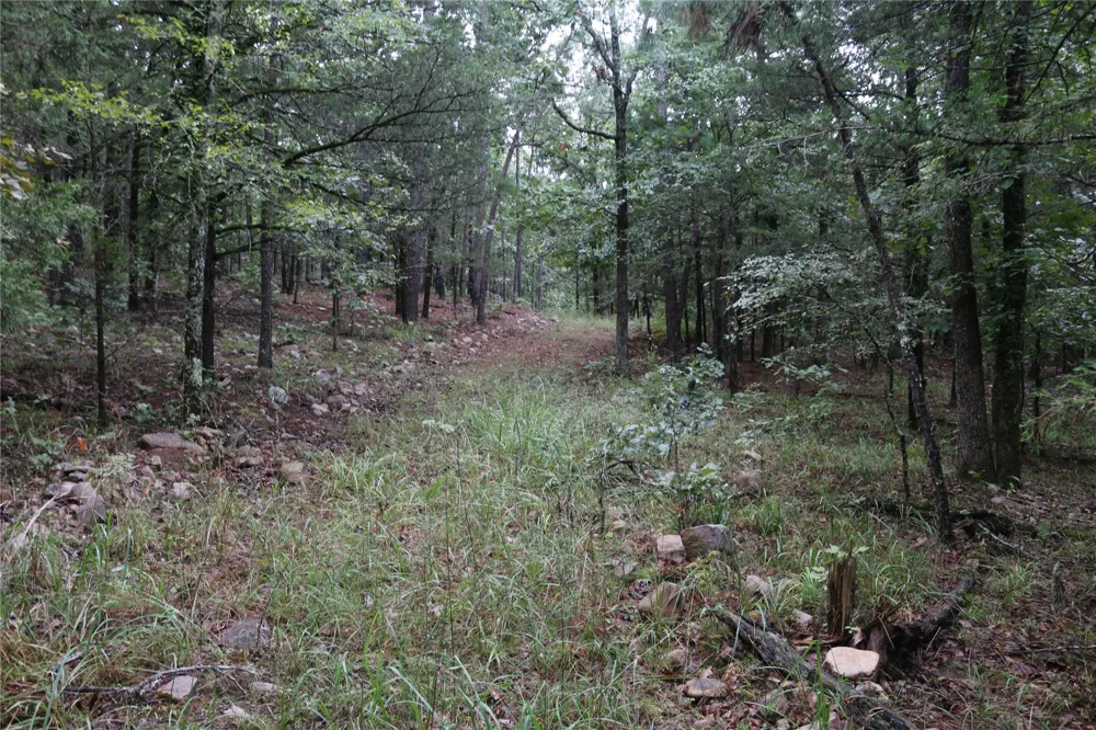 259 Highway Smithville, OK 74957