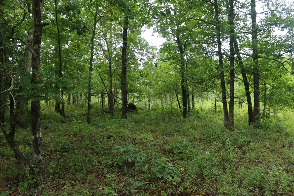 259 Highway Smithville, OK 74957