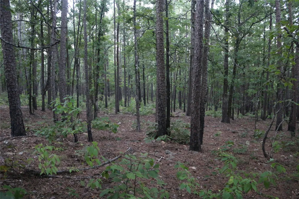 259 Highway Smithville, OK 74957