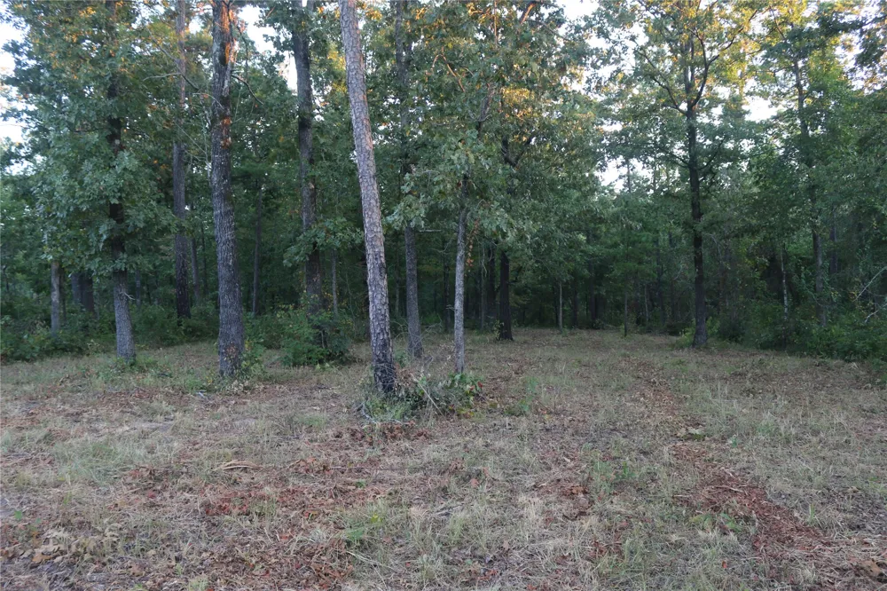 259 Highway Smithville, OK 74957
