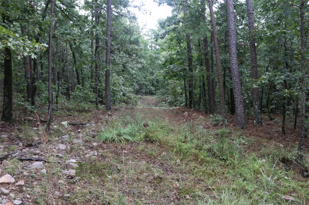 259 Highway Smithville, OK 74957