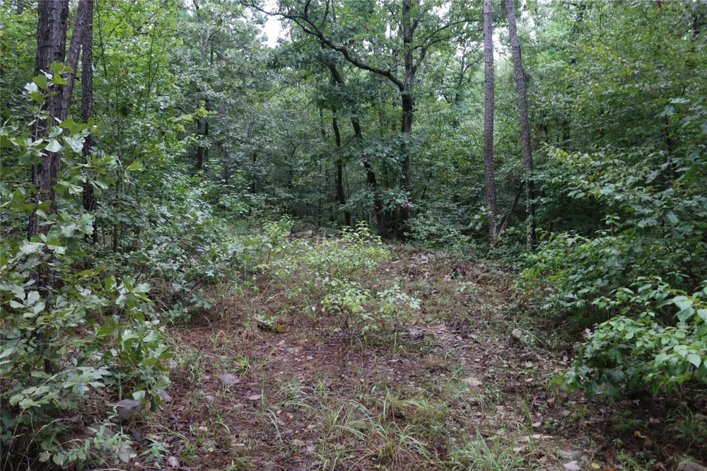 259 Highway Smithville, OK 74957