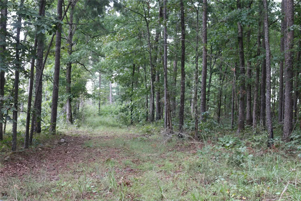 259 Highway Smithville, OK 74957