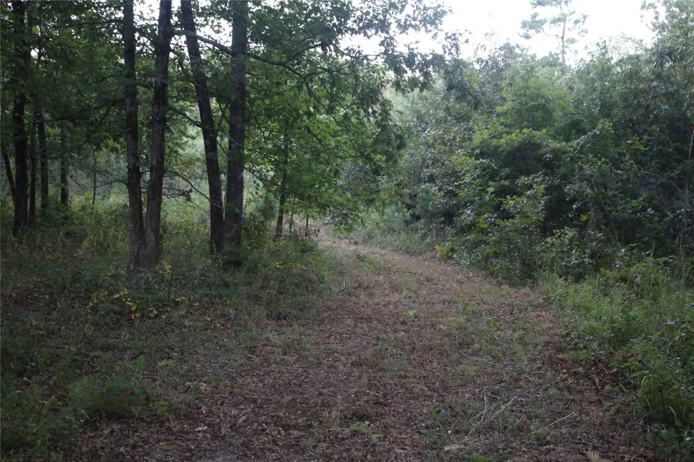 259 Highway Smithville, OK 74957