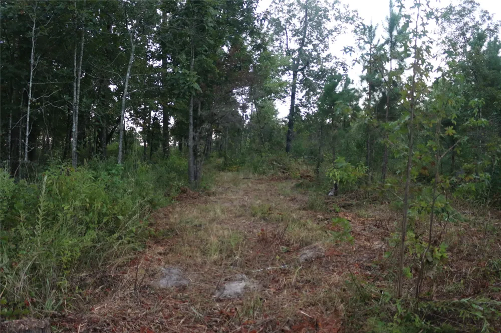 259 Highway Smithville, OK 74957