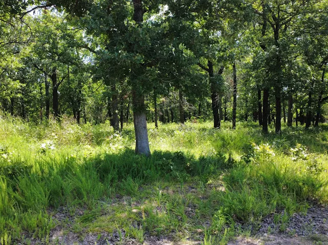 S Qualls Road Park Hill, OK 74451