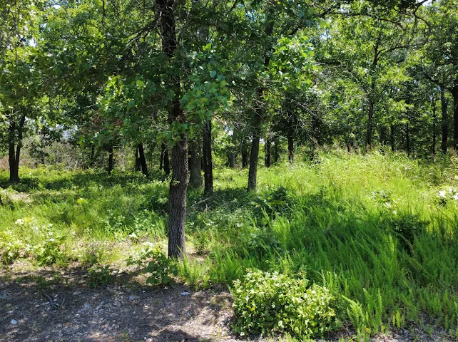S Qualls Road Park Hill, OK 74451