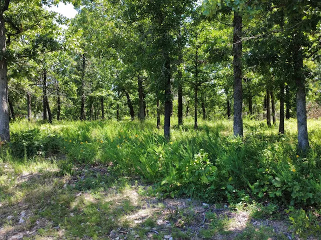 S Qualls Road Park Hill, OK 74451