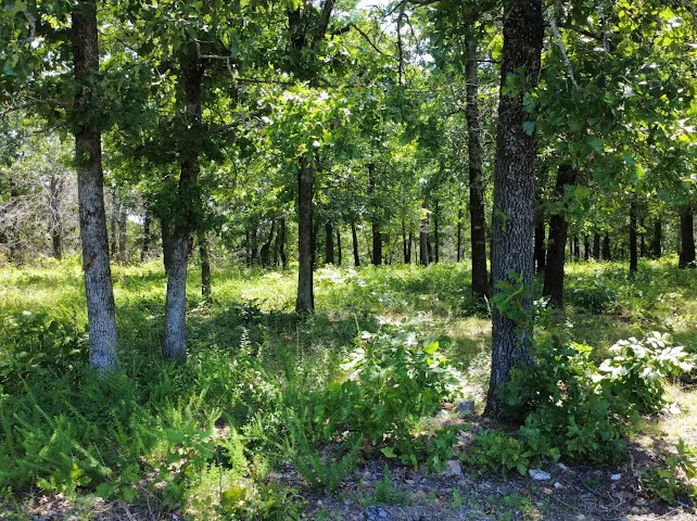 S Qualls Road Park Hill, OK 74451